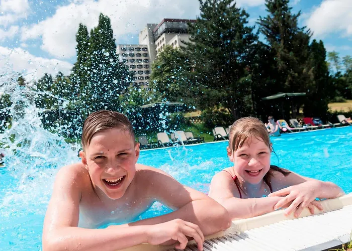 Ahorn フリードリッヒローダ