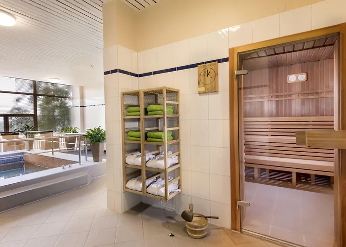 Ahorn フリードリッヒローダ