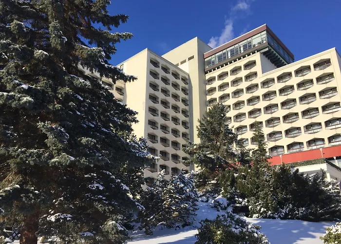 Ahorn フリードリッヒローダ