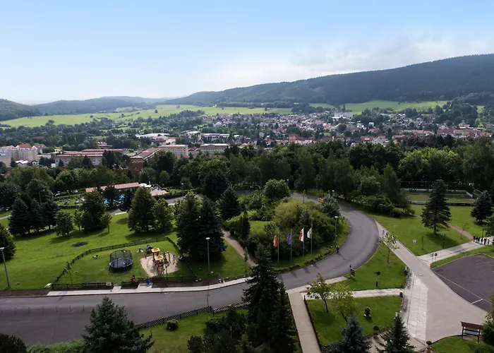 Ahorn フリードリッヒローダ